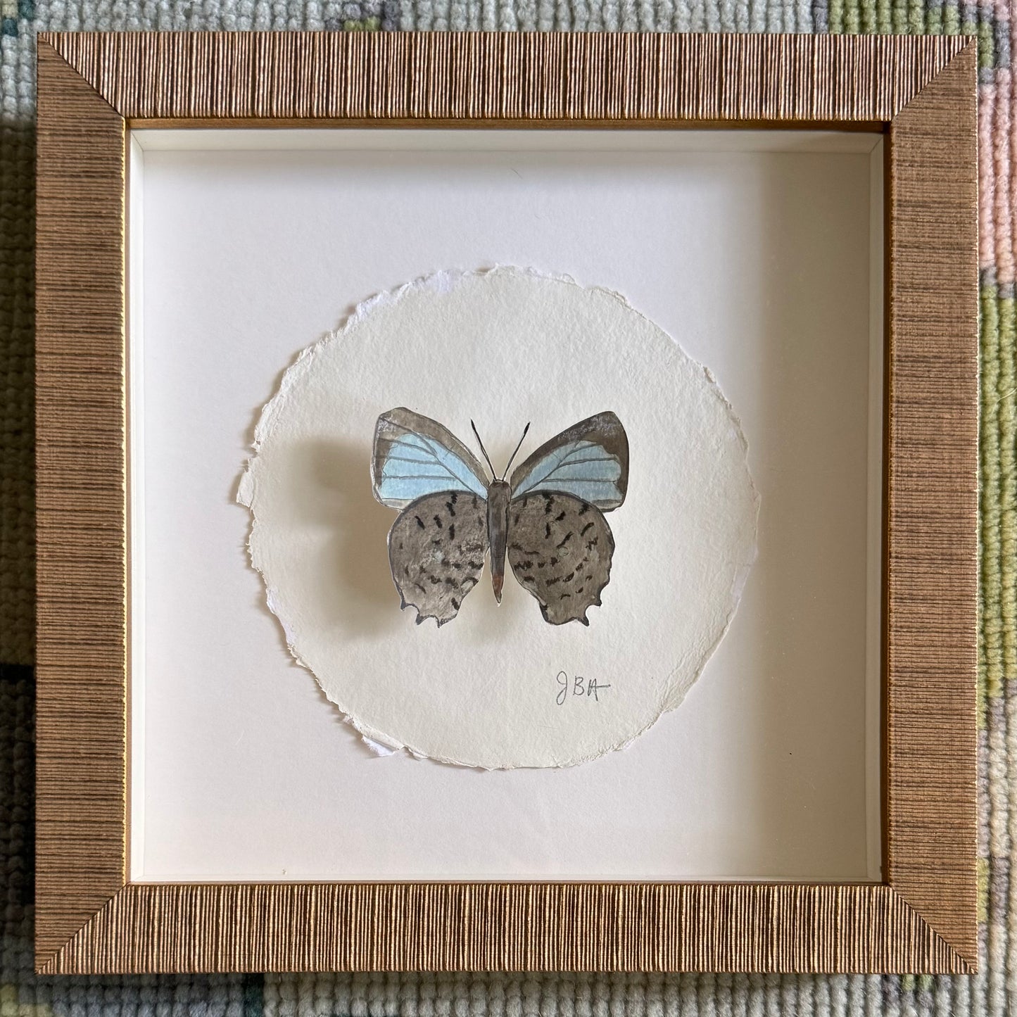 Circle Butterfly