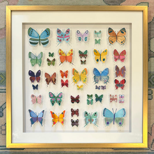 Butterfly Collection No. 3